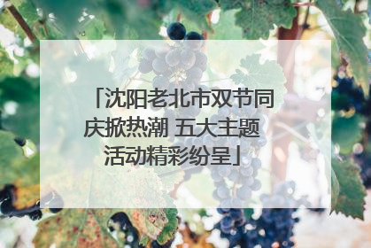 沈阳老北市双节同庆掀热潮 五大主题活动精彩纷呈