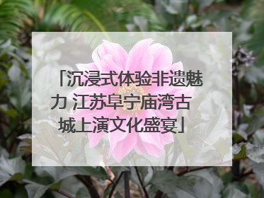 沉浸式体验非遗魅力 江苏阜宁庙湾古城上演文化盛宴