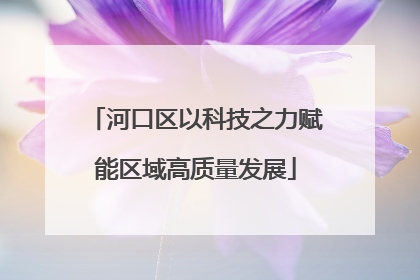 河口区以科技之力赋能区域高质量发展