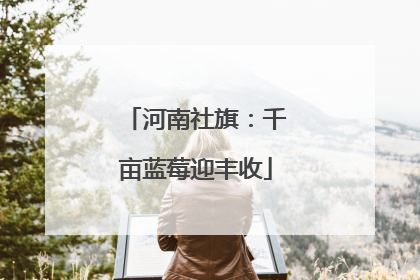 河南社旗：千亩蓝莓迎丰收