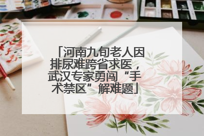 河南九旬老人因排尿难跨省求医，武汉专家勇闯“手术禁区”解难题