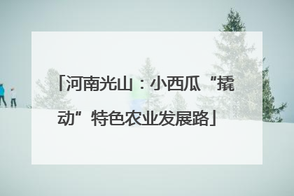 河南光山：小西瓜“撬动”特色农业发展路