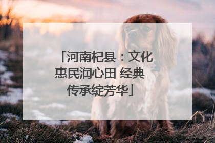 河南杞县：文化惠民润心田 经典传承绽芳华