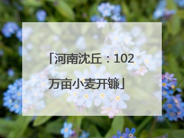 河南沈丘：102 万亩小麦开镰