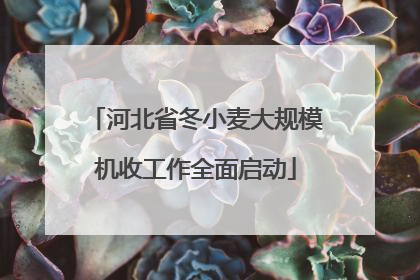 河北省冬小麦大规模机收工作全面启动