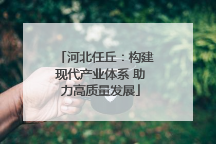 河北任丘：构建现代产业体系 助力高质量发展