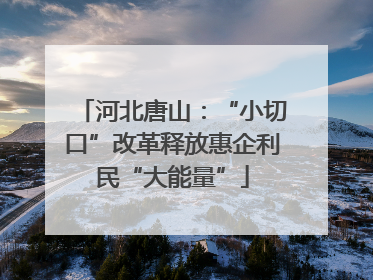 河北唐山：“小切口”改革释放惠企利民“大能量”
