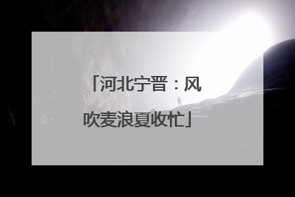 河北宁晋：风吹麦浪夏收忙