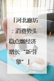 河北廊坊：消费势头稳点燃经济增长“新引擎”