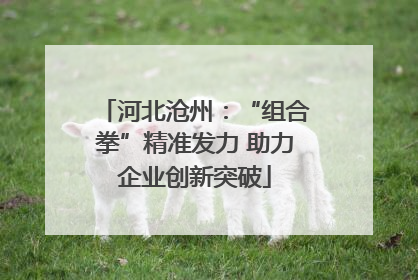 河北沧州：“组合拳”精准发力 助力企业创新突破