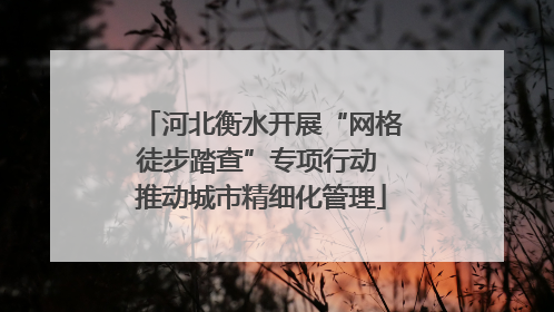 河北衡水开展“网格徒步踏查”专项行动 推动城市精细化管理