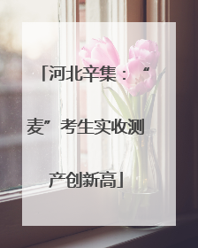 河北辛集：“麦”考生实收测产创新高