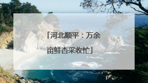 河北顺平：万余亩鲜杏采收忙