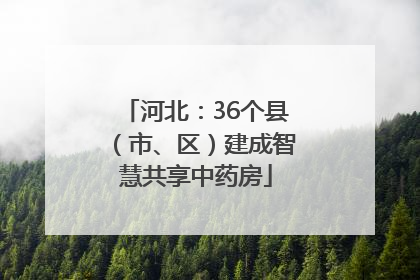 河北：36个县（市、区）建成智慧共享中药房
