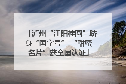 泸州“江阳桂圆”跻身“国字号” “甜蜜名片”获全国认证