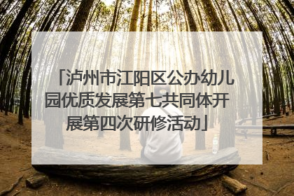 泸州市江阳区公办幼儿园优质发展第七共同体开展第四次研修活动