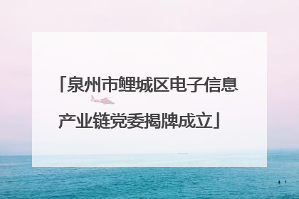 泉州市鲤城区电子信息产业链党委揭牌成立