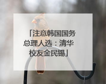 注意韩国国务总理人选：清华校友金民锡