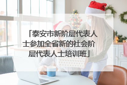 泰安市新阶层代表人士参加全省新的社会阶层代表人士培训班