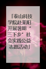 泰山科技学院赴莱阳开展暑期“三下乡”社会实践公益志愿活动