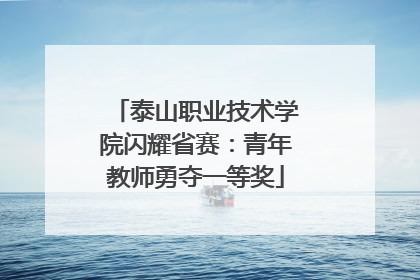 泰山职业技术学院闪耀省赛：青年教师勇夺一等奖