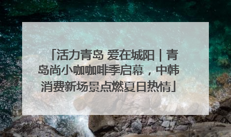 活力青岛 爱在城阳｜青岛尚小咖咖啡季启幕，中韩消费新场景点燃夏日热情