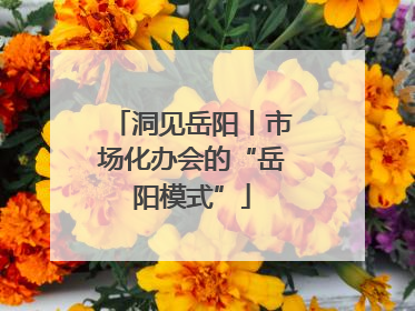 洞见岳阳丨市场化办会的“岳阳模式”