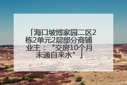 海口坡博家园二区2栋2单元2层部分商铺业主：“交房10个月未通自来水”