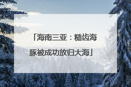 海南三亚：糙齿海豚被成功放归大海