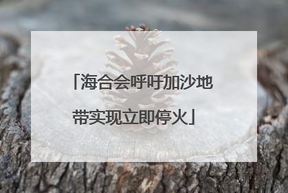 海合会呼吁加沙地带实现立即停火