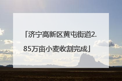 济宁高新区黄屯街道2.85万亩小麦收割完成
