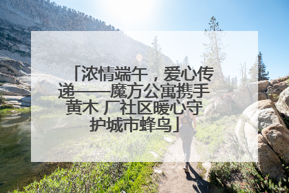 浓情端午，爱心传递——魔方公寓携手黄木 厂社区暖心守护城市蜂鸟