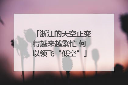 浙江的天空正变得越来越繁忙 何以领飞“低空”