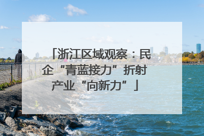 浙江区域观察：民企“青蓝接力”折射产业“向新力”