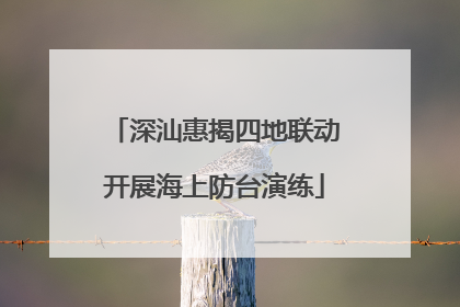 深汕惠揭四地联动开展海上防台演练