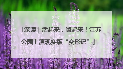 深读｜活起来，嗨起来！江苏公园上演现实版“变形记”