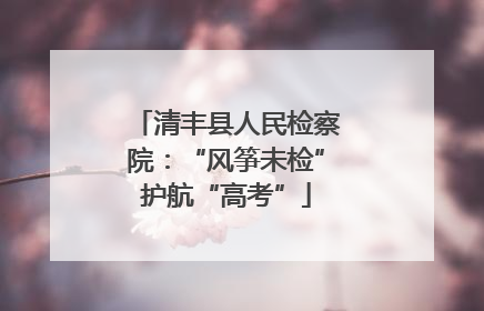 清丰县人民检察院：“风筝未检”护航“高考”