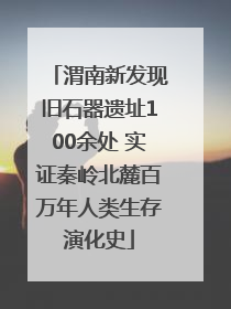 渭南新发现旧石器遗址100余处 实证秦岭北麓百万年人类生存演化史