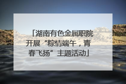 湖南有色金属职院开展“粽情端午，青春飞扬”主题活动