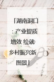 湖南洞口：产业提质增效 绘就乡村振兴新图景