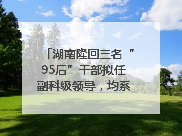 湖南隆回三名“95后”干部拟任副科级领导，均系硕士选调生