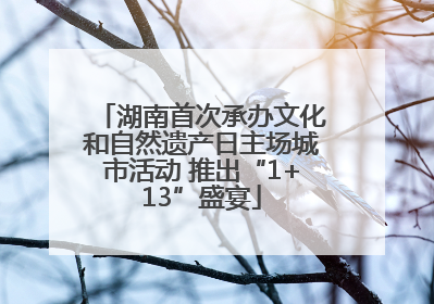 湖南首次承办文化和自然遗产日主场城市活动 推出“1+13”盛宴