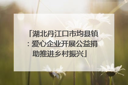 湖北丹江口市均县镇：爱心企业开展公益捐助推进乡村振兴