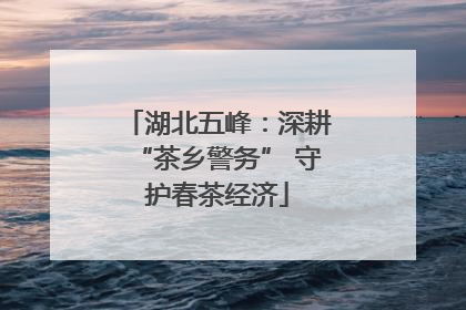 湖北五峰：深耕“茶乡警务” 守护春茶经济