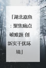 湖北嘉鱼：聚焦痛点破难题 创新实干优环境