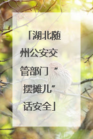 湖北随州公安交管部门“摆摊儿”话安全