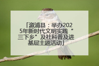 溆浦县：举办2025年新时代文明实践“三下乡”及社科普及进基层主题活动