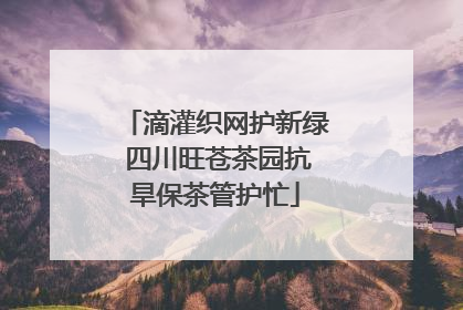 滴灌织网护新绿 四川旺苍茶园抗旱保茶管护忙