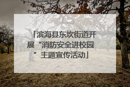 滨海县东坎街道开展“消防安全进校园”主题宣传活动