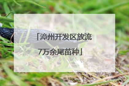 漳州开发区放流7万余尾苗种